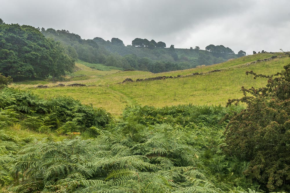 Bretton Clough